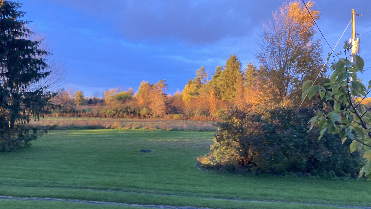 Photo of Outdoor in Town of Lysander