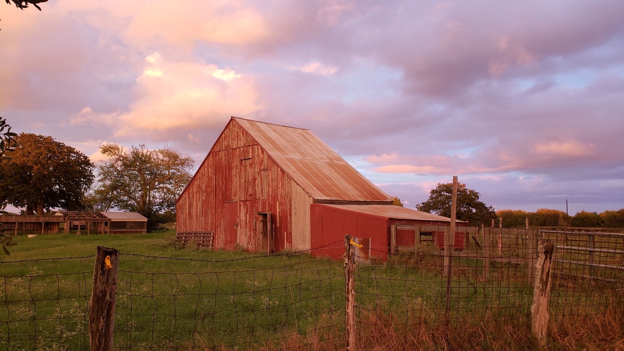 Photo of Outdoor in Ledbetter