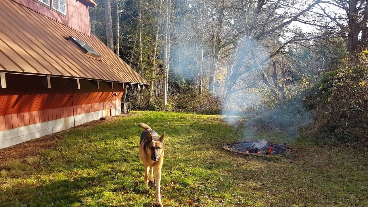 Photo of Outdoor in Oak Harbor