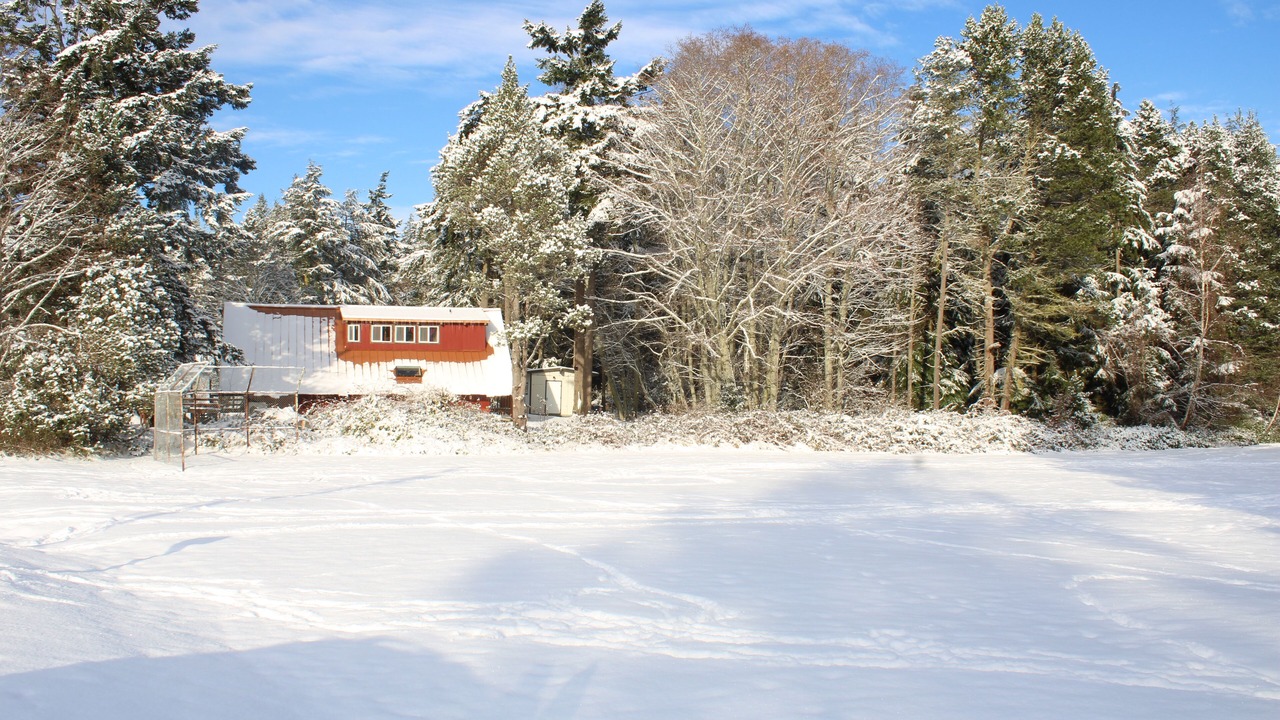 Photo of Outdoor in Oak Harbor