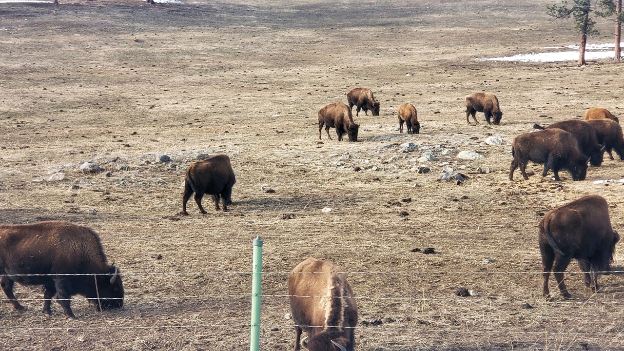 Photo of Others in Allendale Area