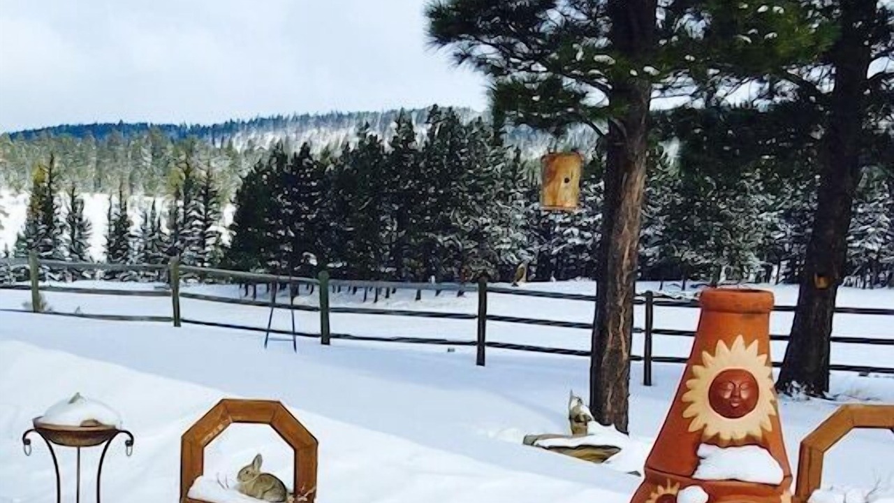 Photo of Outdoor in Angel Fire
