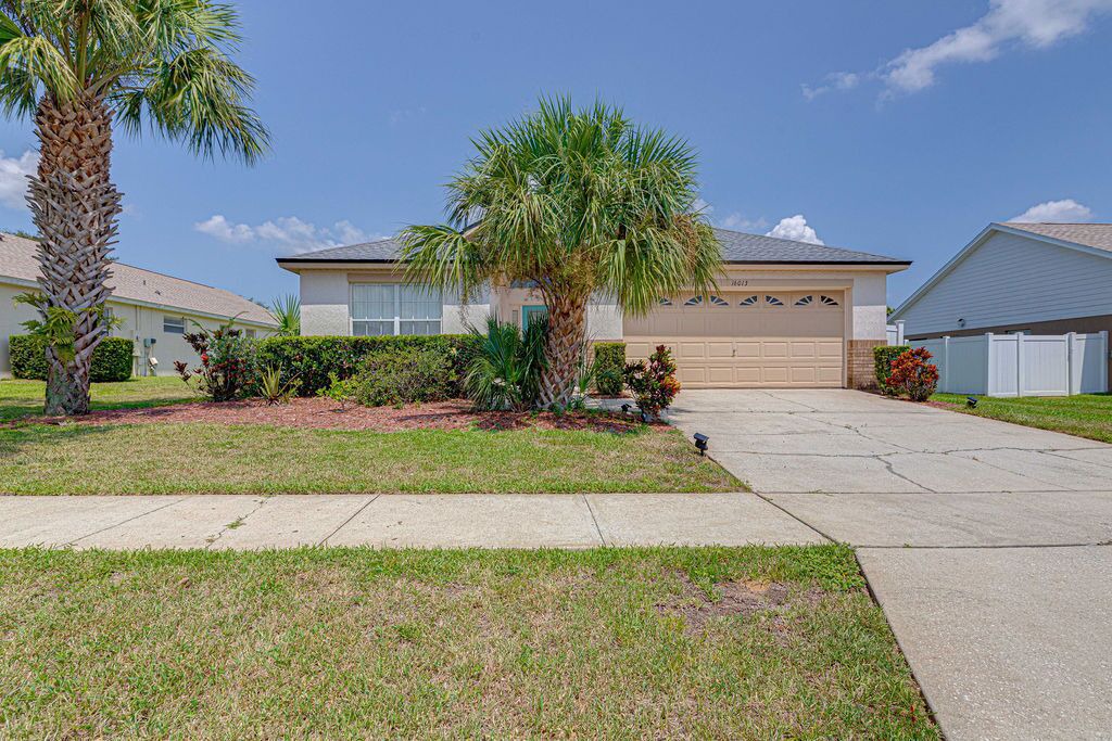 Photo of Outdoor in Orange Tree