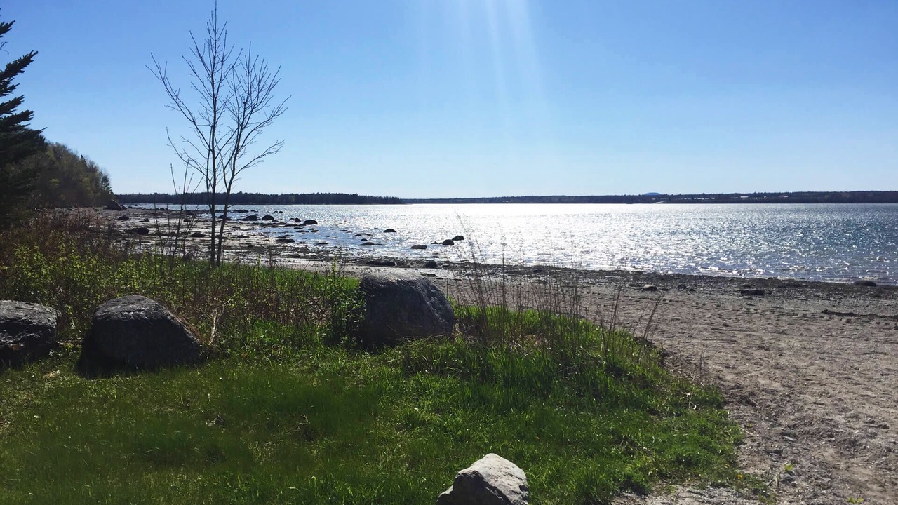 Photo of Others in Bar Harbor