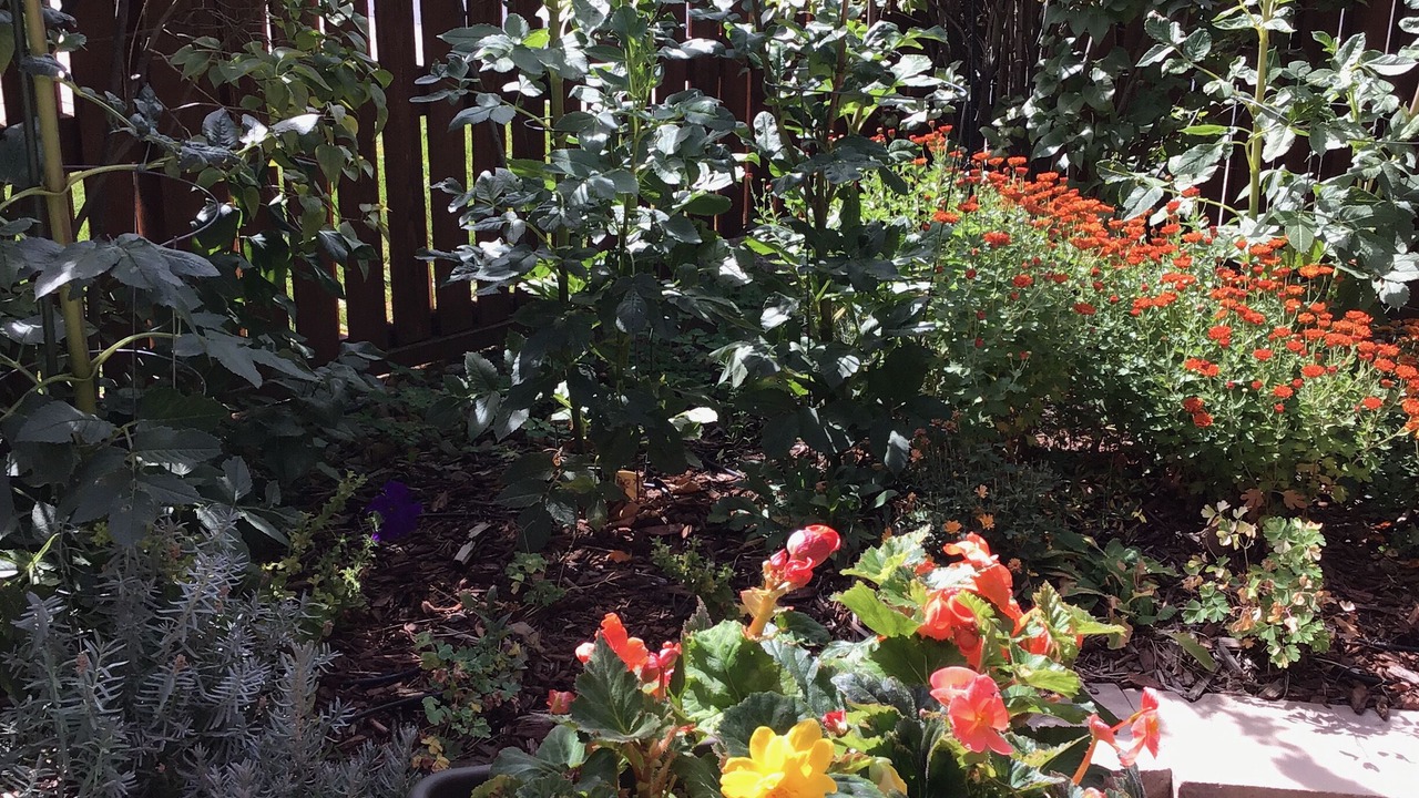 Photo of Outdoor in Dakota Ridge - Northbriar