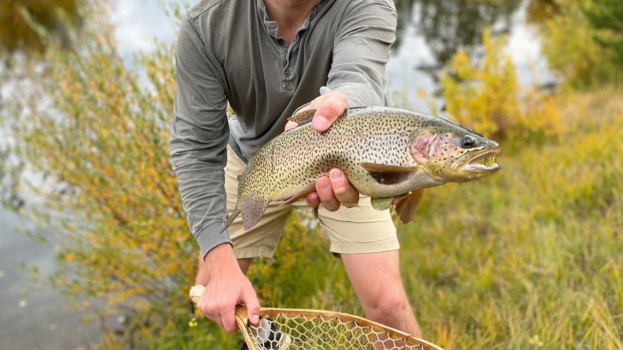 Photo of Others in Silverthorne