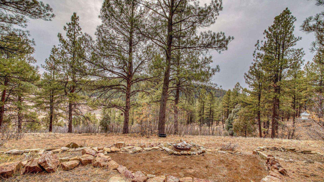 Photo of Others in Pagosa Springs