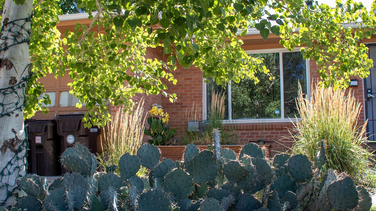 Photo of Outdoor in Martin Acres