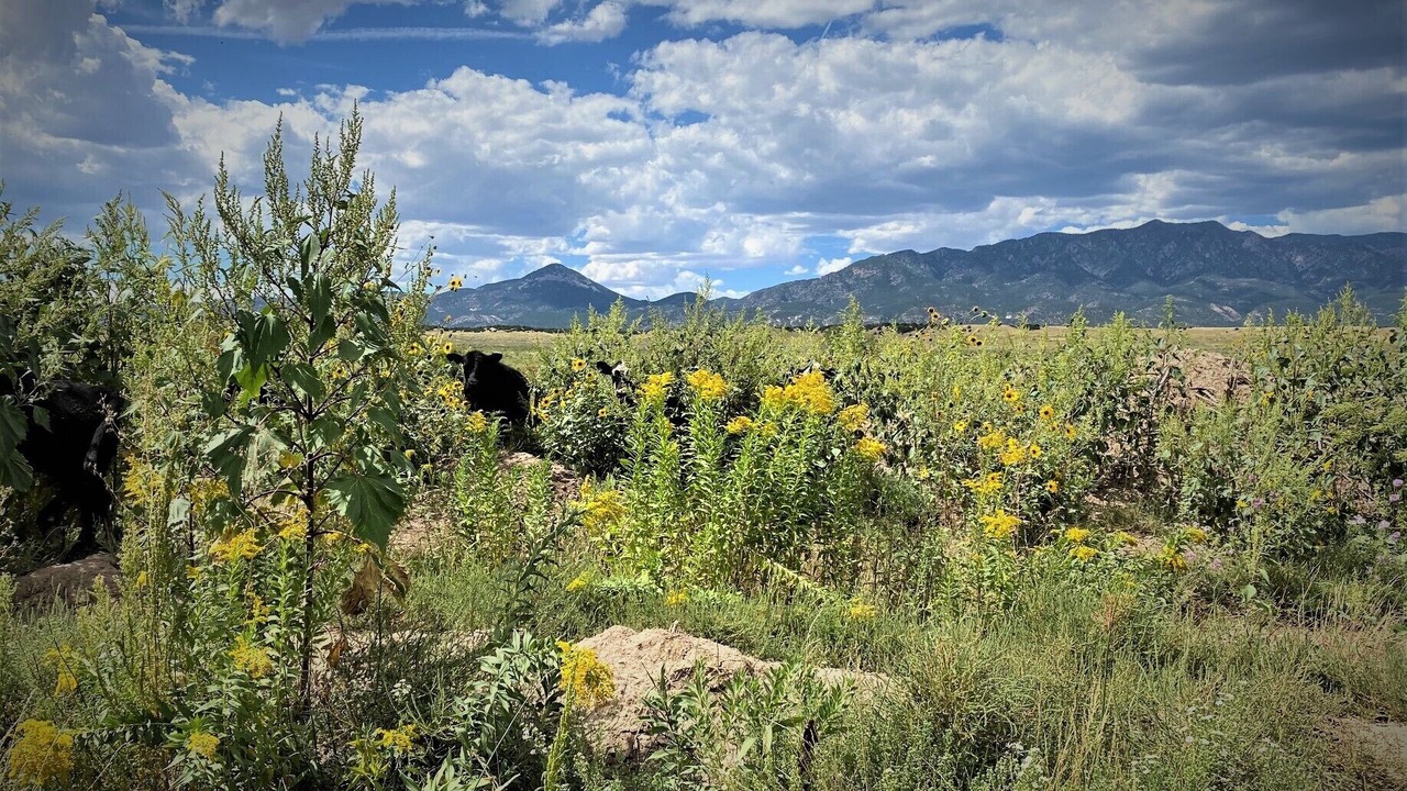 Photo of Outdoor in Walsenburg