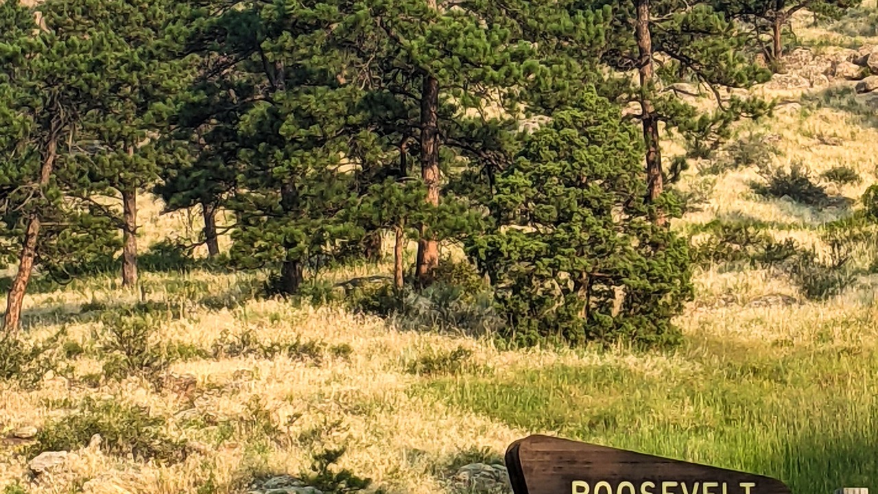 Photo of Others in Lyons