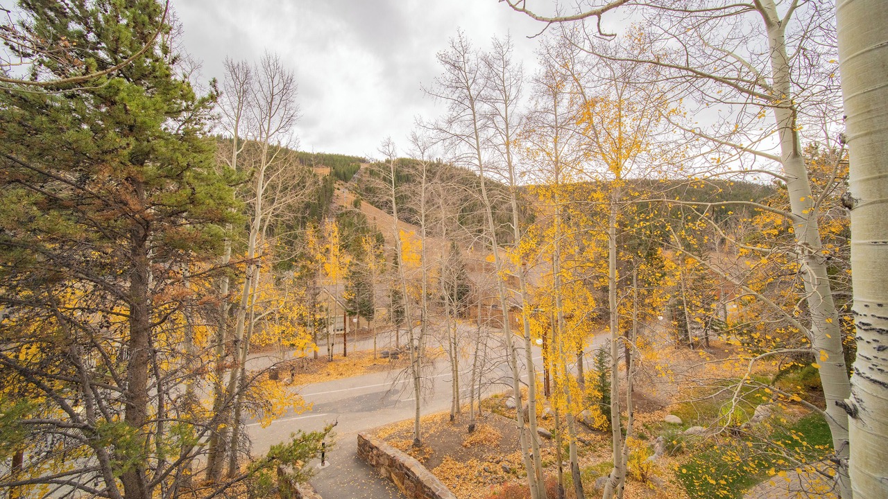 Photo of Others in Mountain House