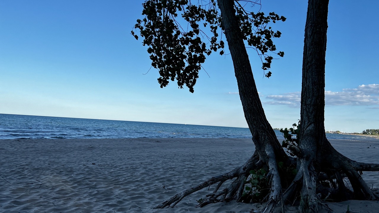 Photo of Others in Racine