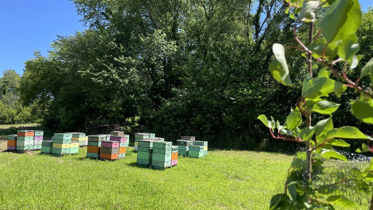 Photo of Outdoor in Galien