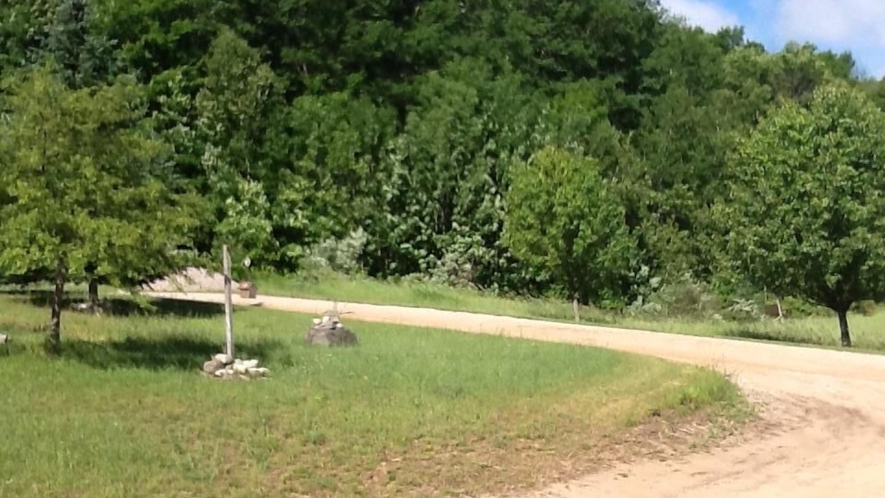 Photo of Others in Maple City