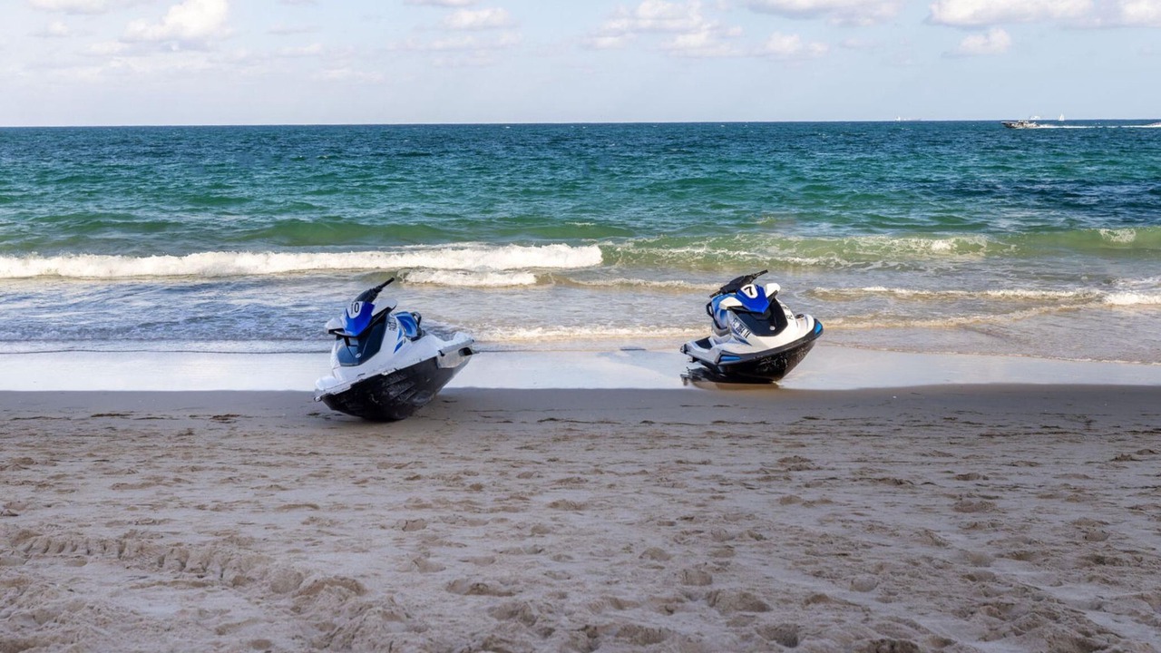 Photo of Others in Barrier Island