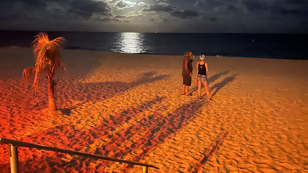 Photo of Others in Barrier Island