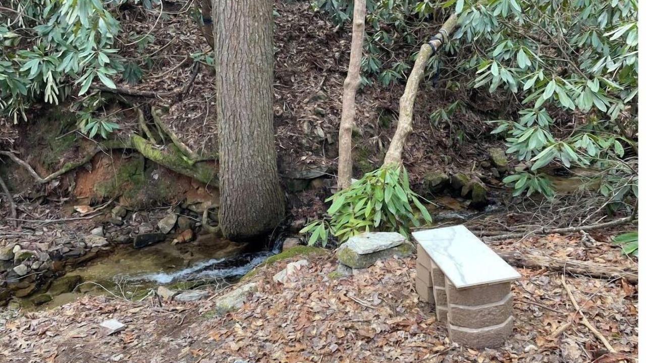 Photo of Outdoor in Hot Springs