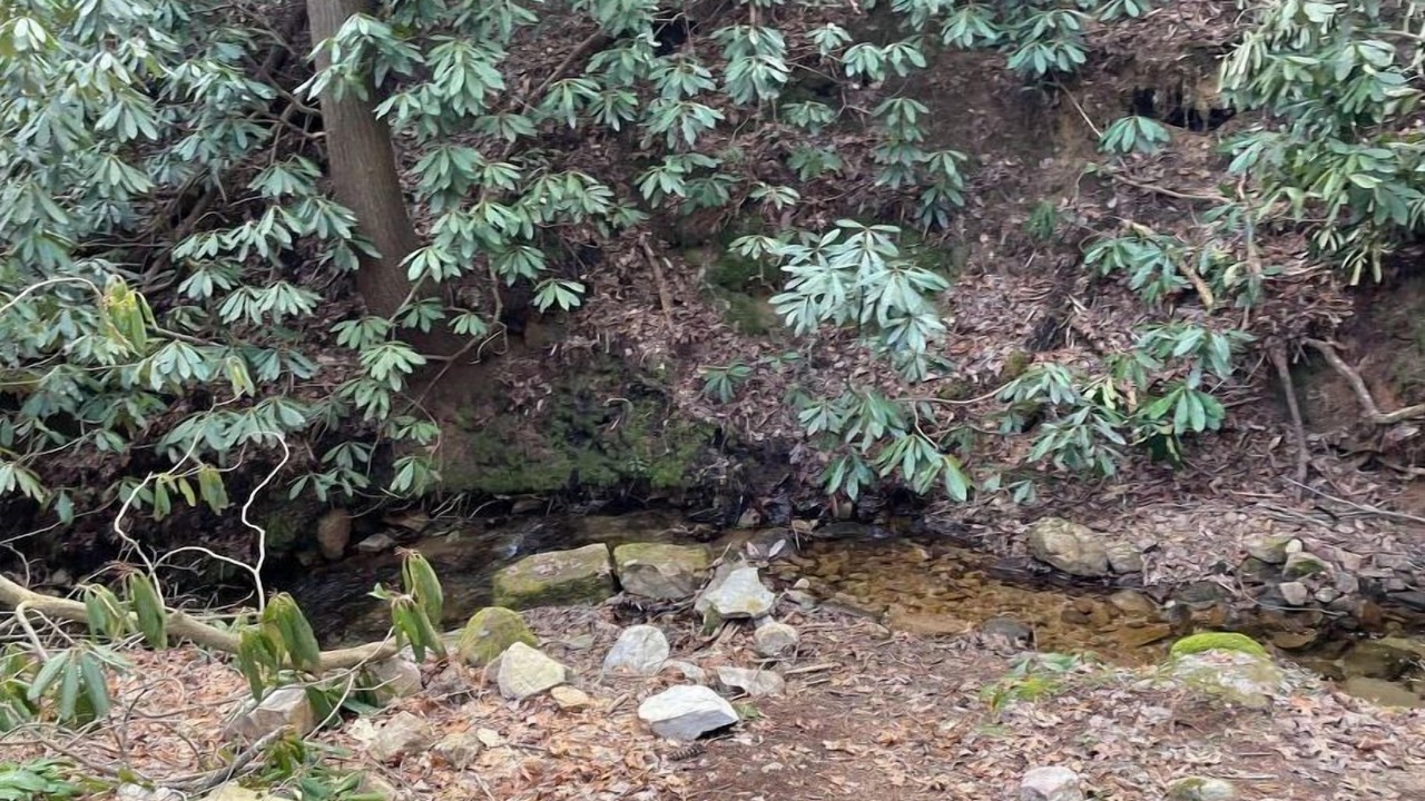 Photo of Outdoor in Hot Springs