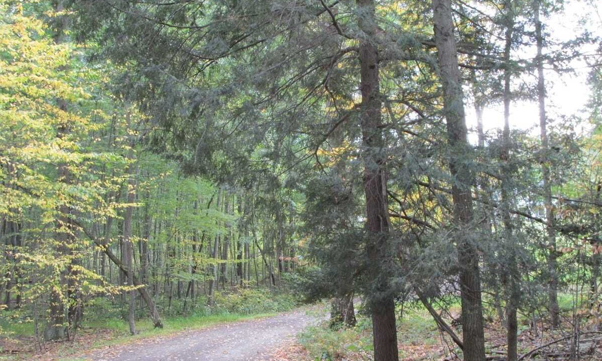 Photo of Outdoor in Todd