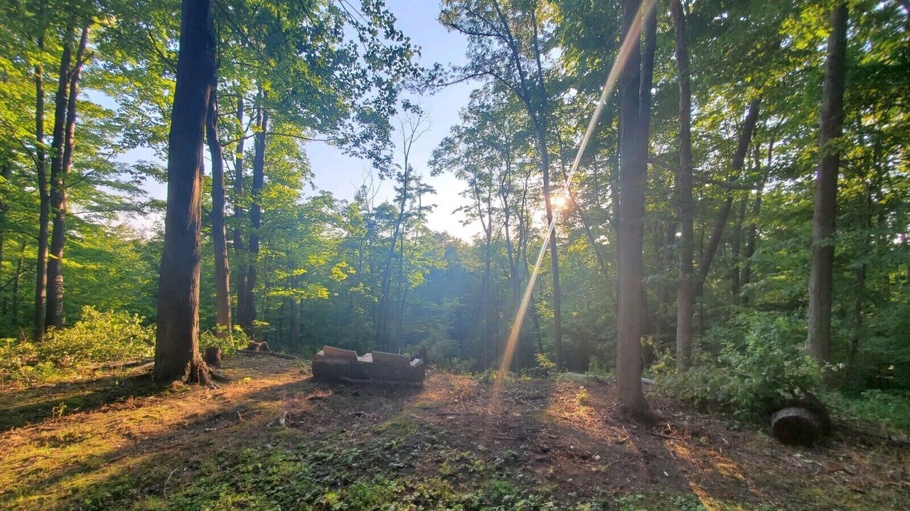 Photo of Others in Conneaut