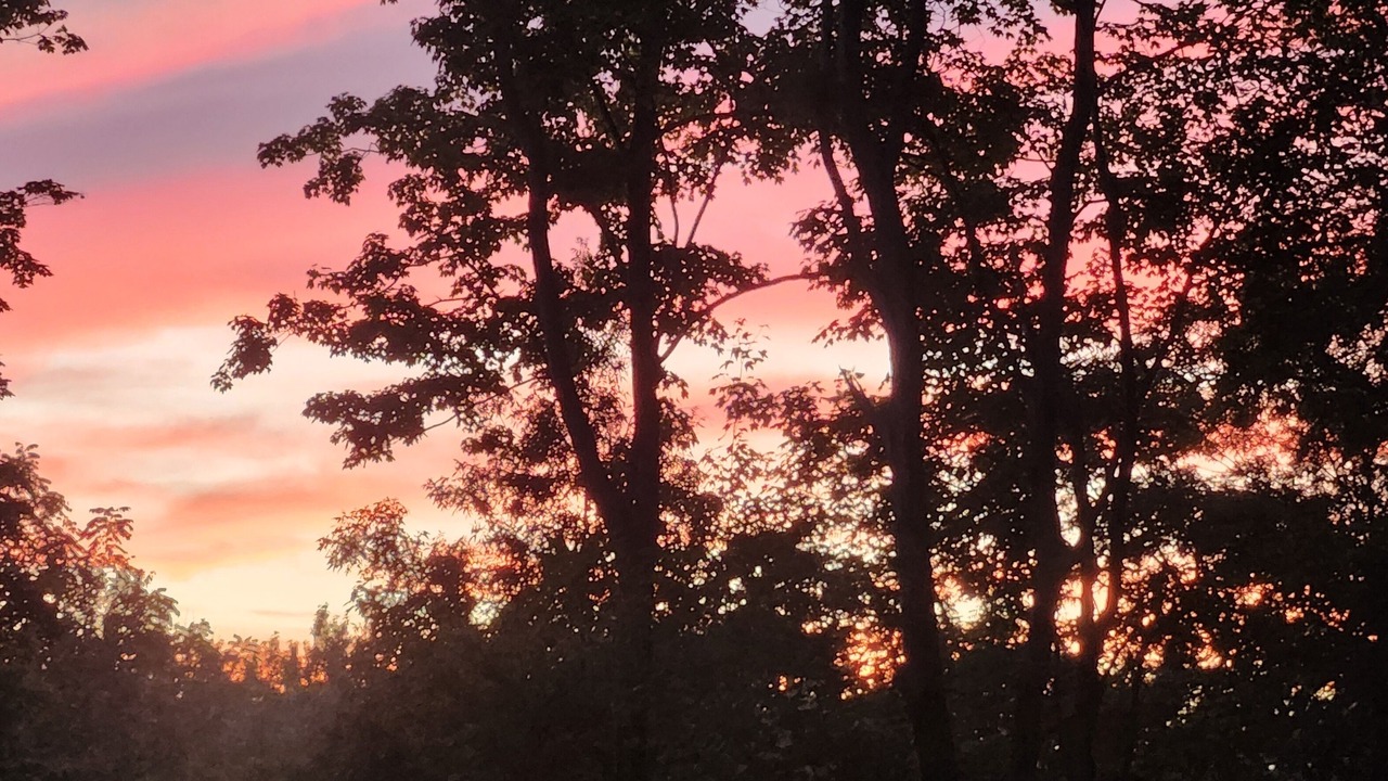 Photo of Others in Conneaut