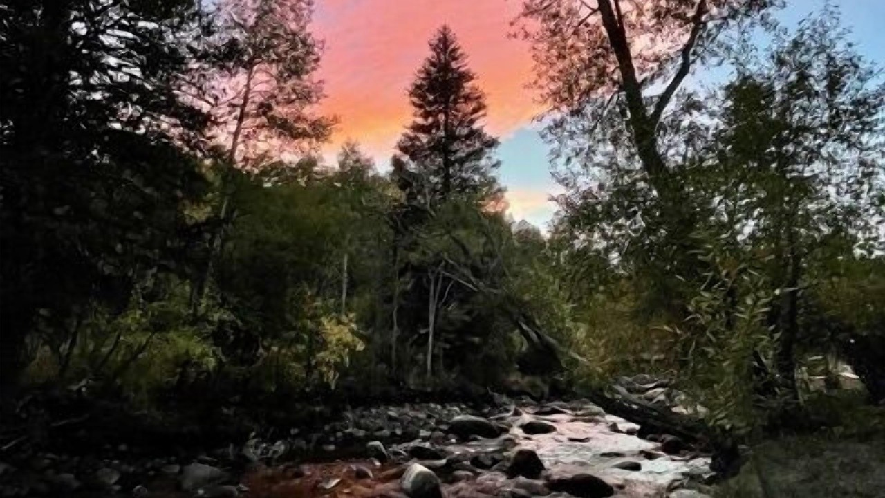 Photo of Others in Lyons