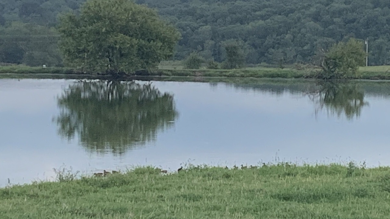 Photo of Others in Elkland