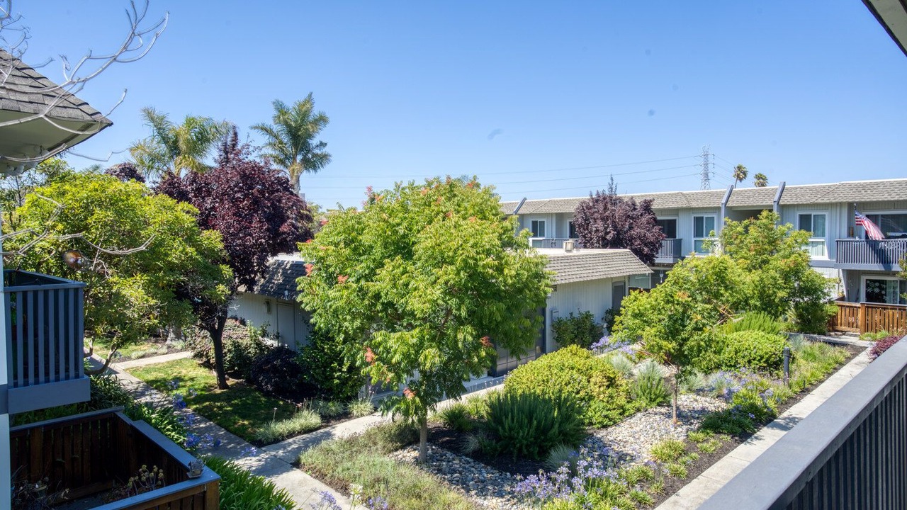 Photo of Outdoor in Foster City