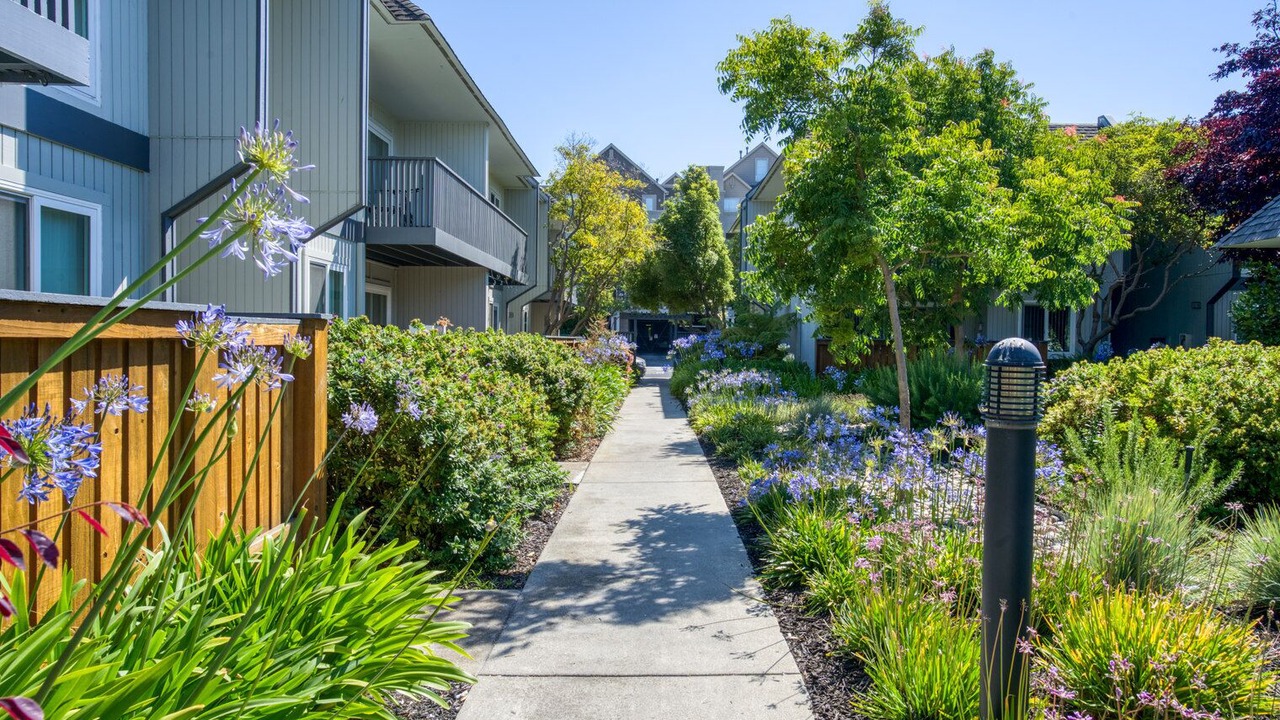 Photo of Outdoor in Foster City