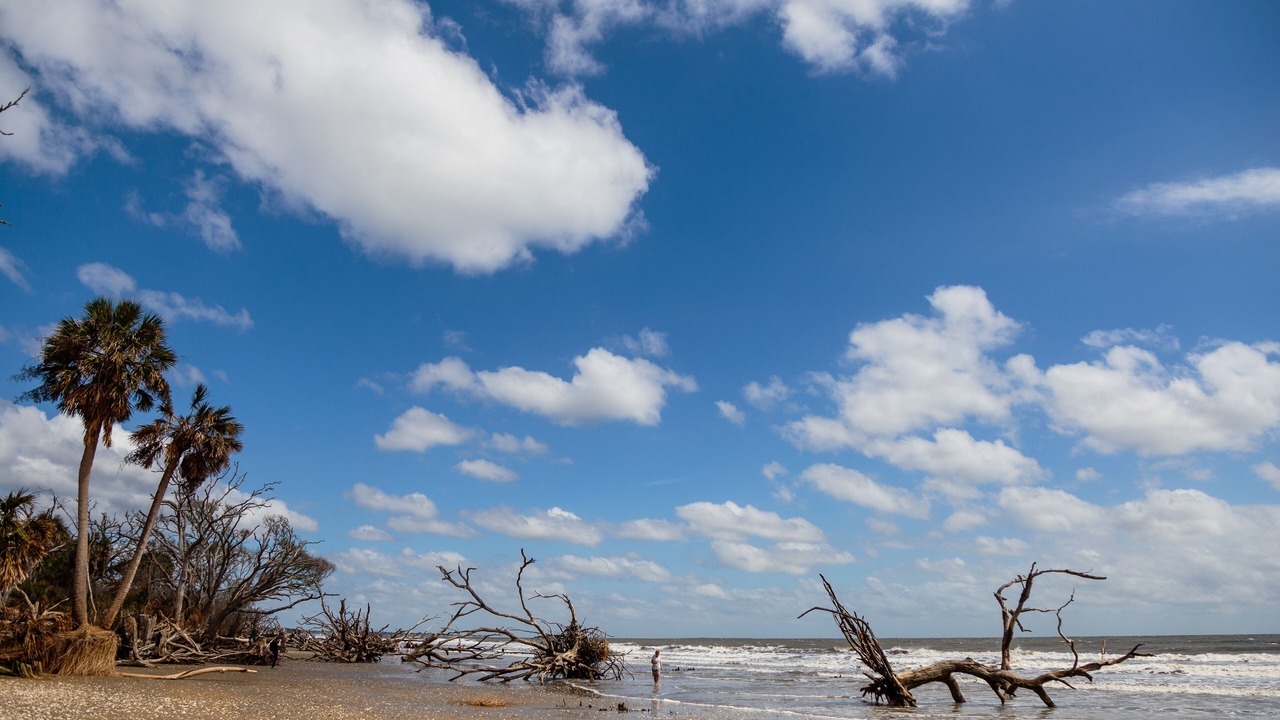 Photo of Others in Isle of Palms