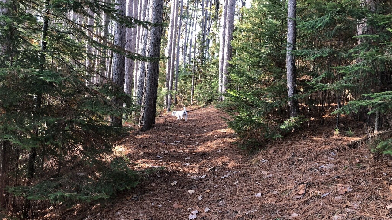 Photo of Others in Star Lake