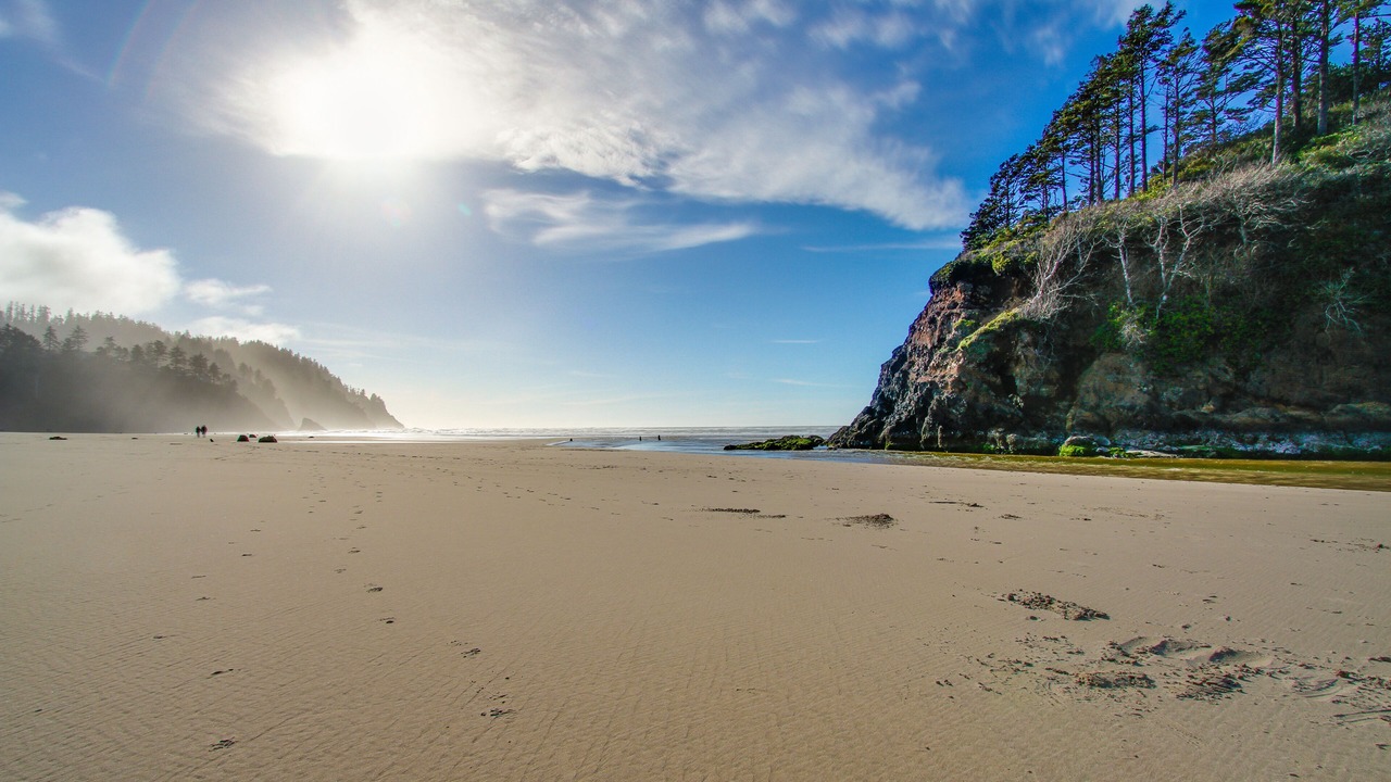 Photo of Others in Neskowin