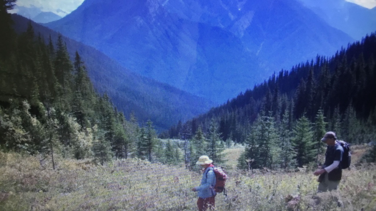 Photo of Others in Cripple Creek