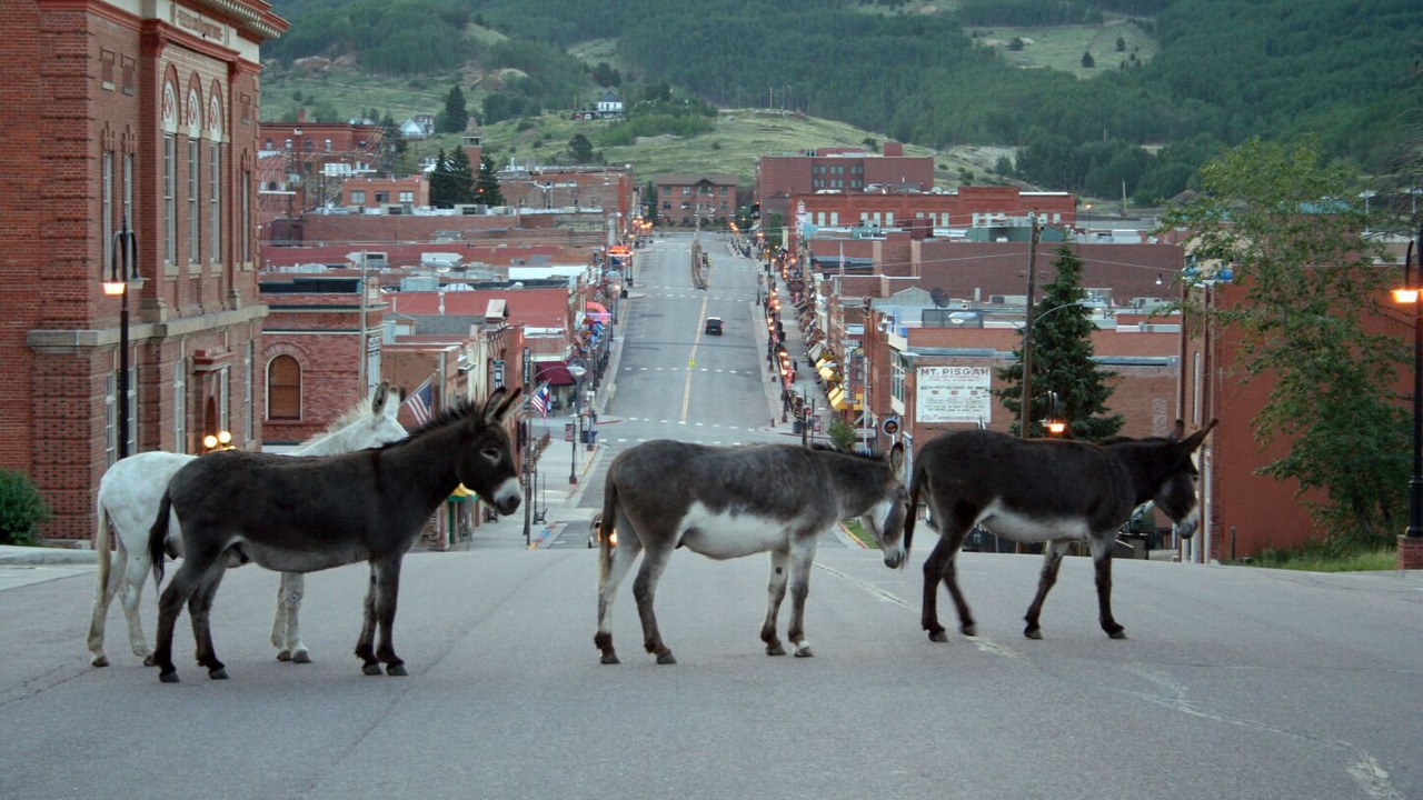 Photo of Outdoor in Cripple Creek