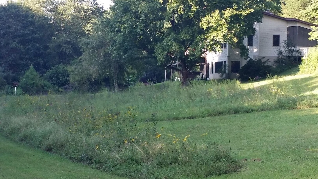 Photo of Others in Tallassee