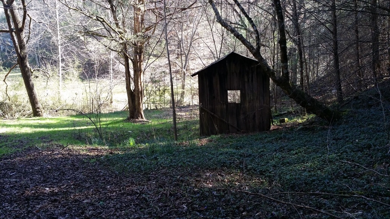 Photo of Others in Tallassee