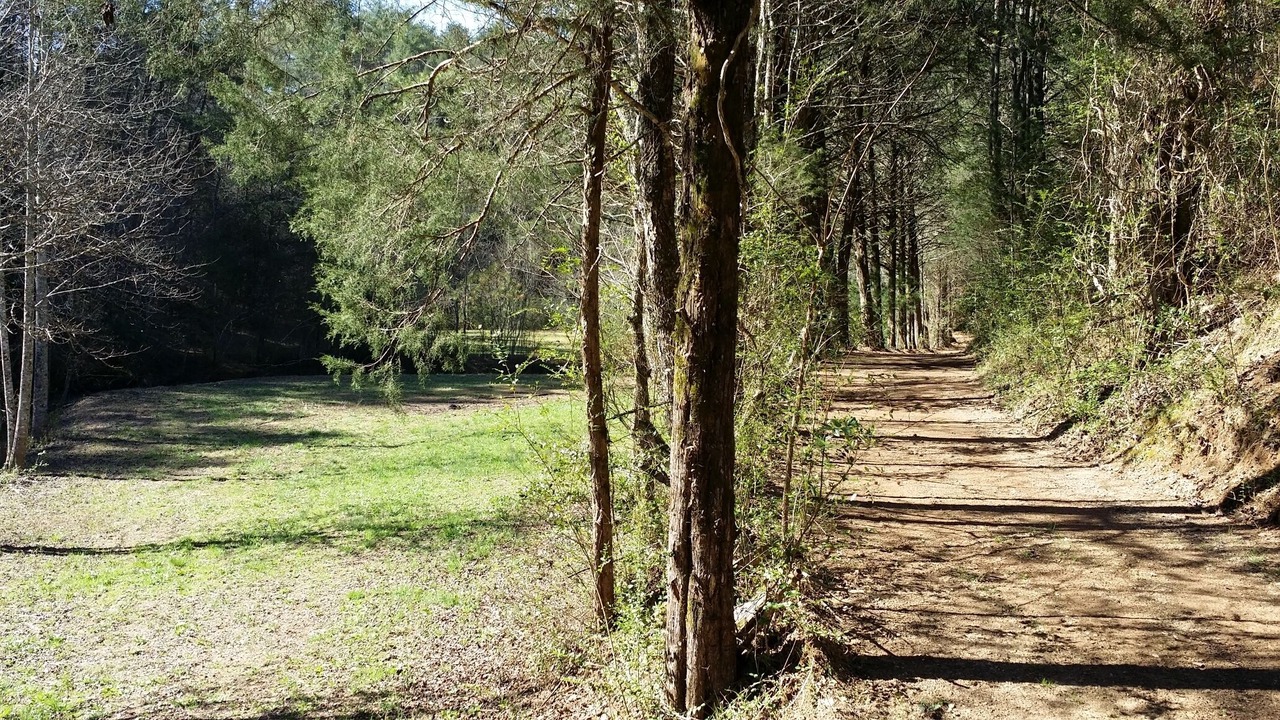 Photo of Others in Tallassee
