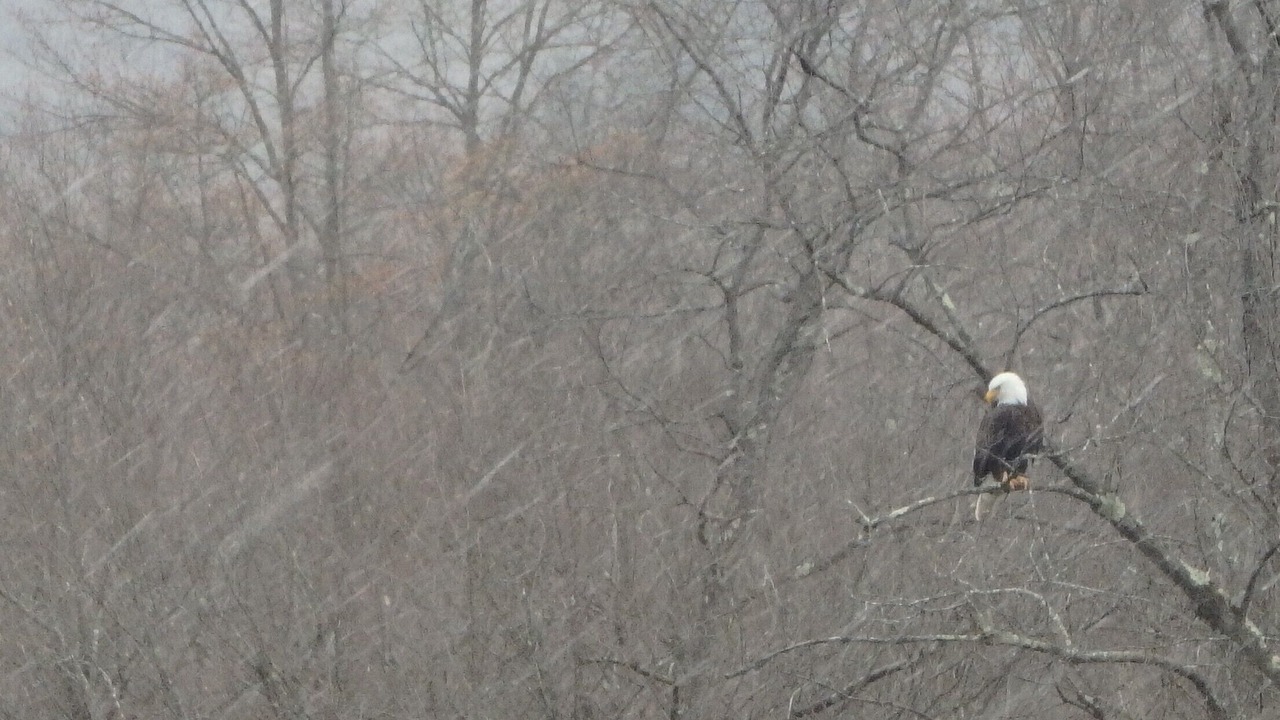 Photo of Others in Coudersport