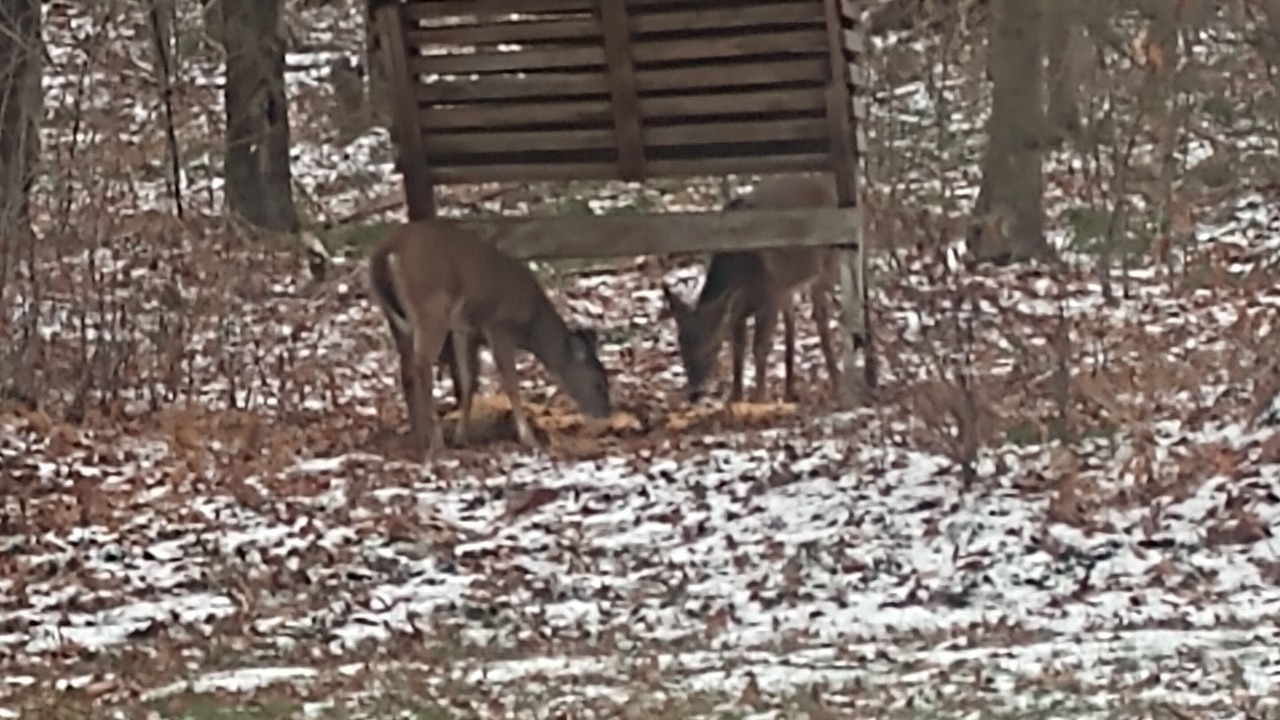 Photo of Outdoor in Coudersport