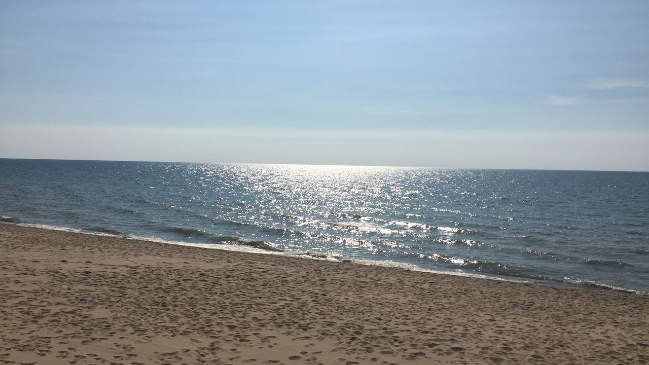 Photo of Others in South Haven