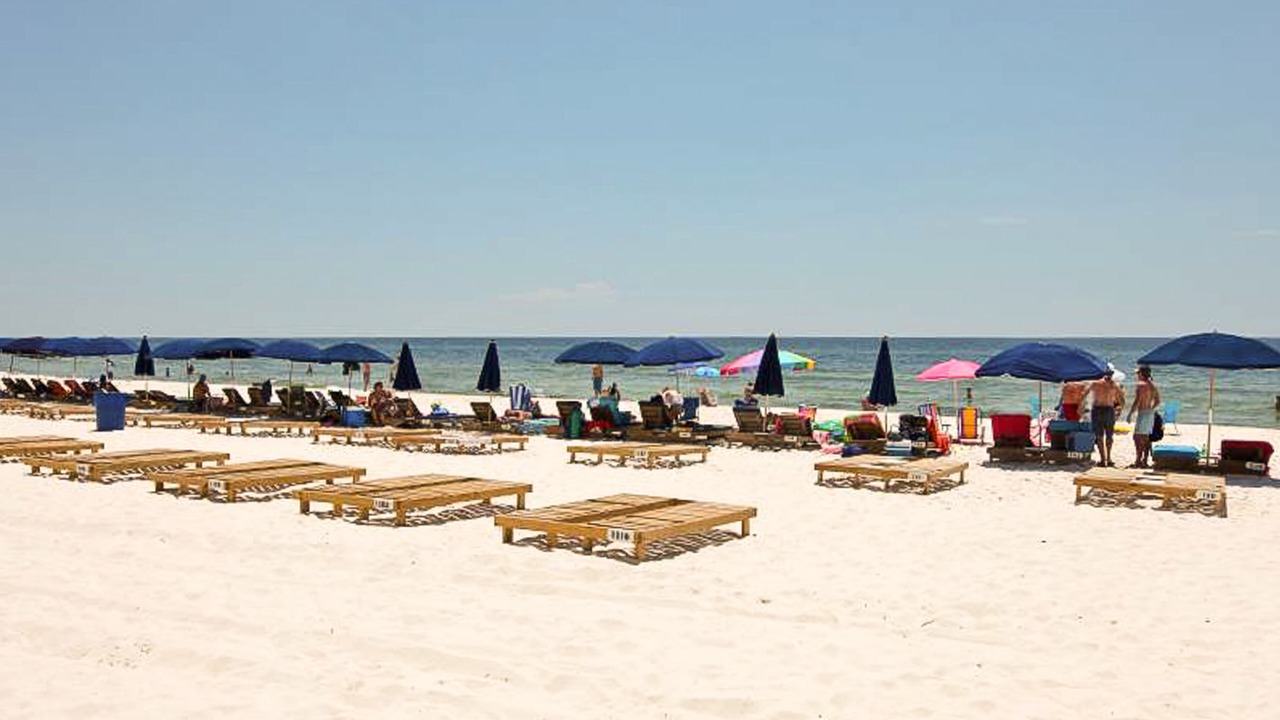Photo of Others in Panama City Beach