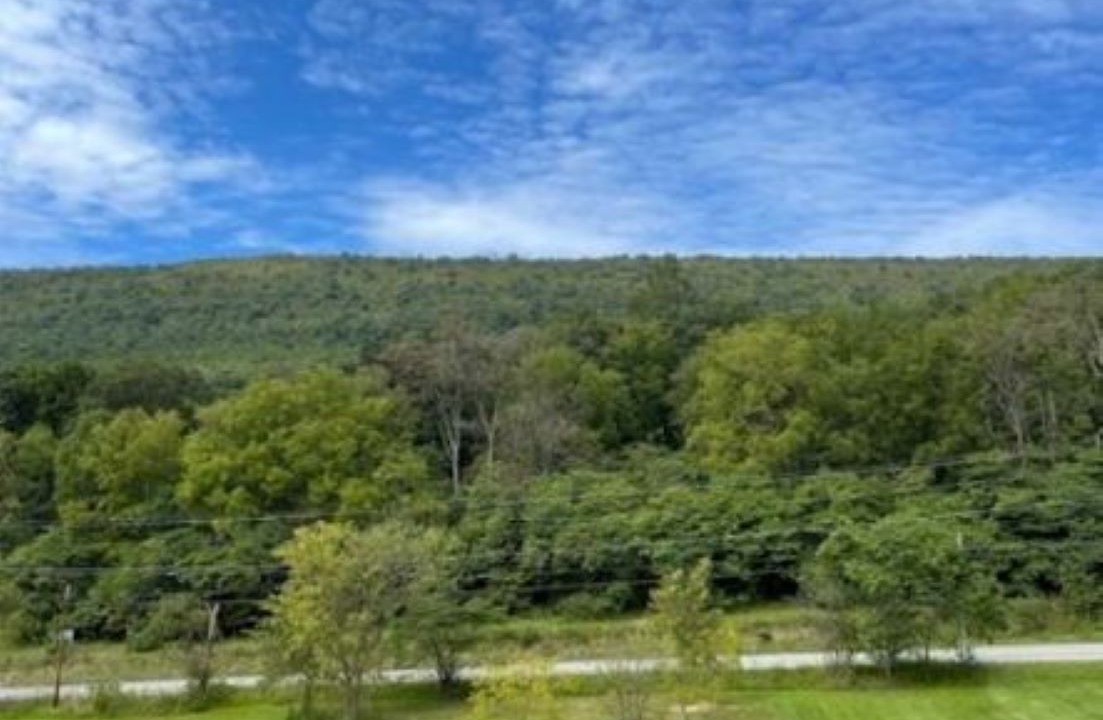 Photo of Others in James Creek