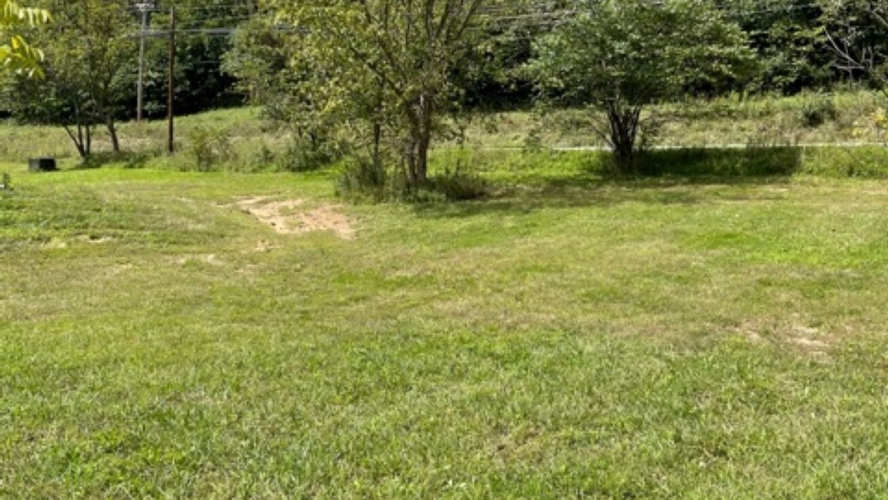 Photo of Others in James Creek