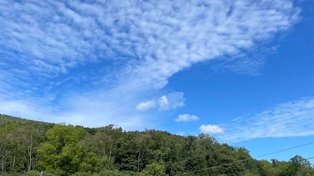Photo of Others in James Creek