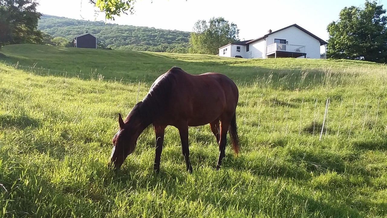 Photo of Outdoor in Harper