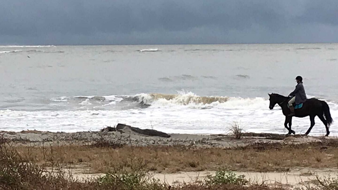 Photo of Others in Melrose on the Beach