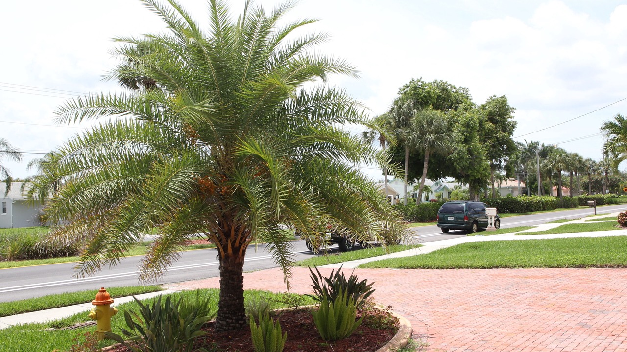Photo of Outdoor in Eight Lakes