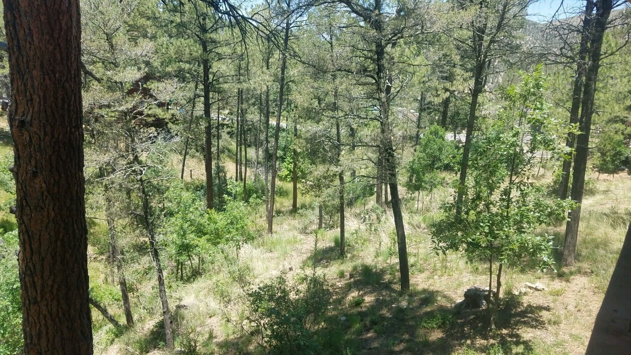 Photo of Others in Ruidoso Downs