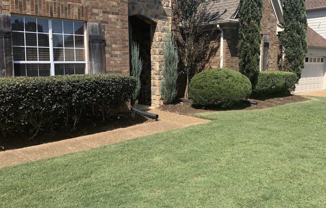 Photo of Outdoor in Cordova