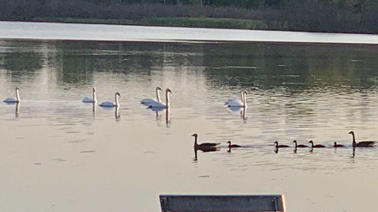 Photo of Others in Two Rivers